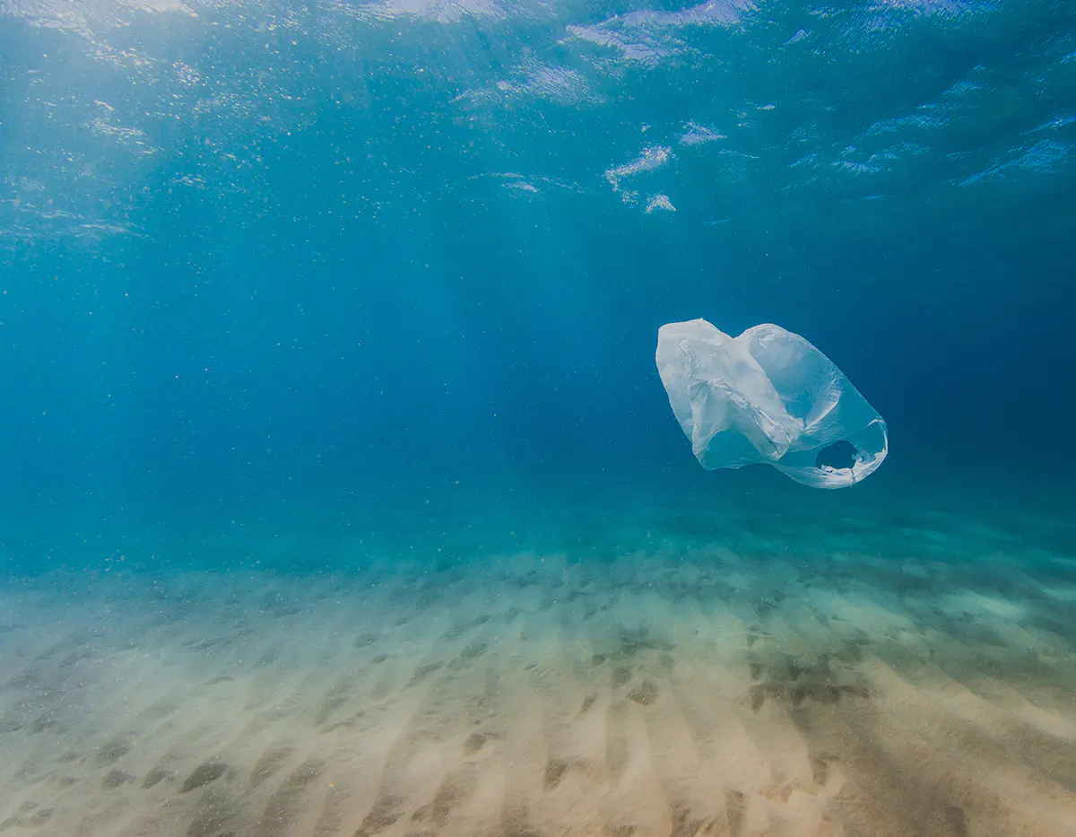 periods without plastic