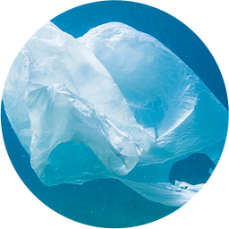 Plastic free incontinence pads