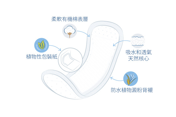 成人尿墊(中量型)插圖