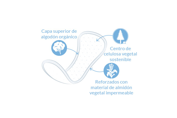 diagrama de protectores diarios curvos