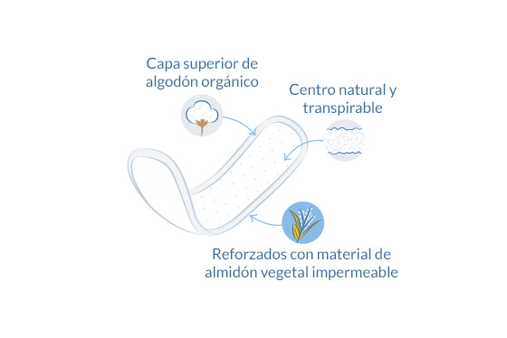 Protectores diarios Mini ilustración