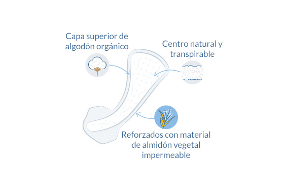 diagrama de Protectores diarios Tanga