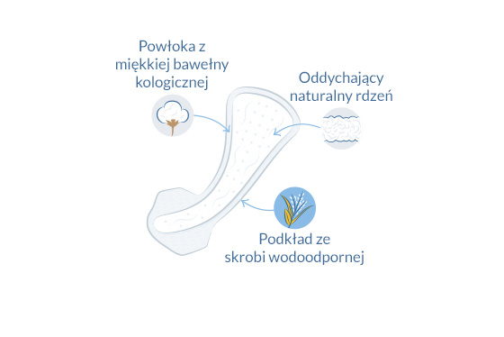 Ekologiczne wkładki higieniczne tanga ilustracja