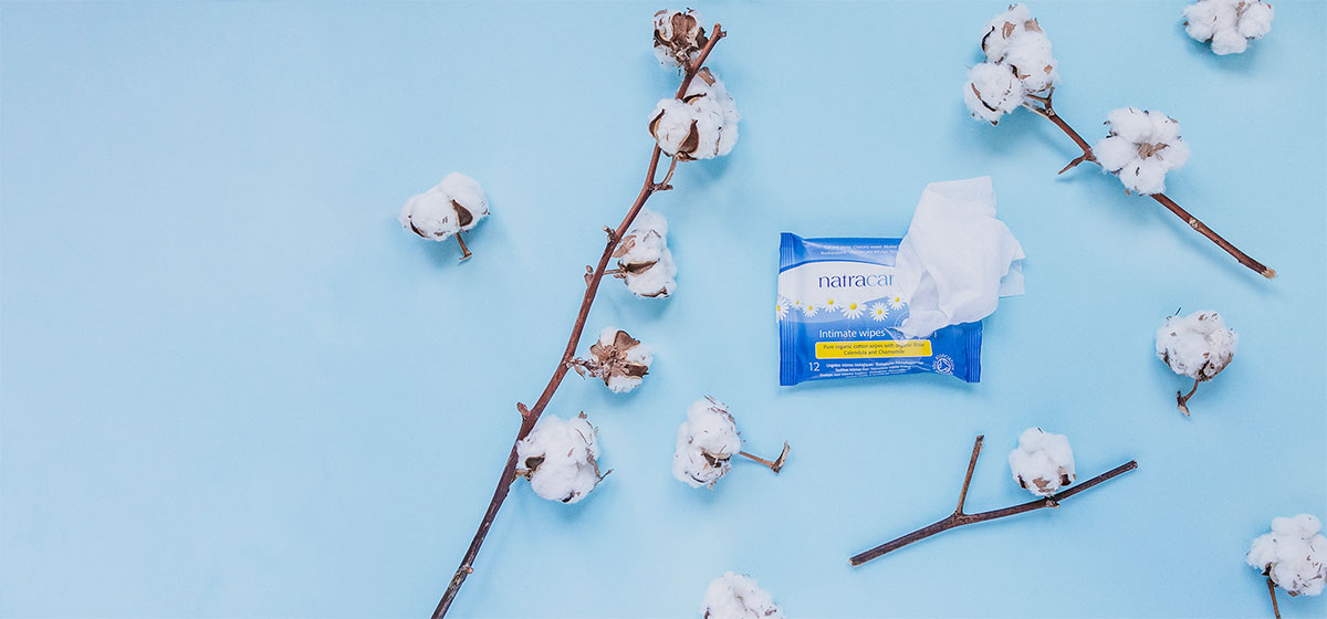 biodegradable wet wipes