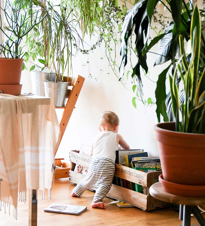 baby looking through books