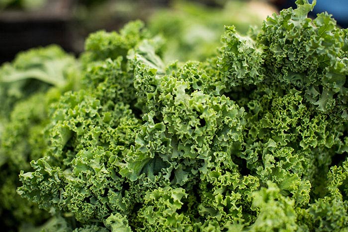 curly kale