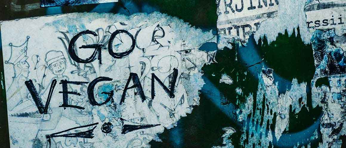 go vegan graffiti