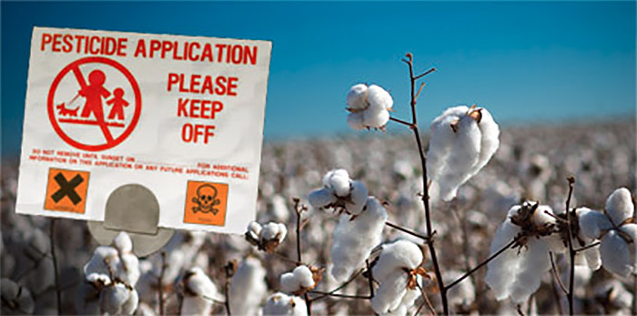pesticides out of fashion banner against cotton