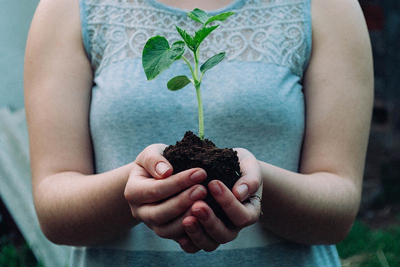 Woman holding handful of soil with plant