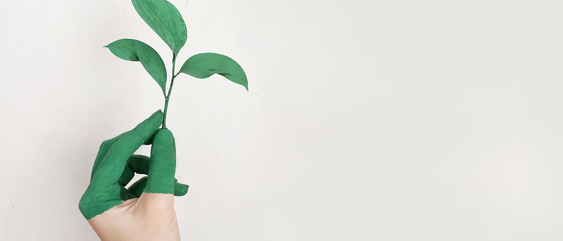 Hand with green fingers holding plant with leaves