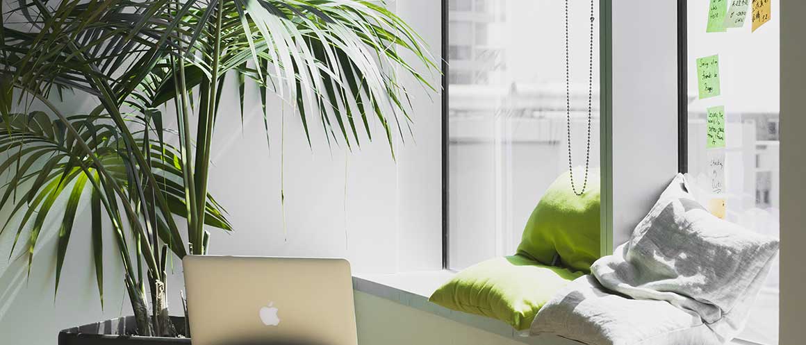 clean modern office space with green pillows and plant