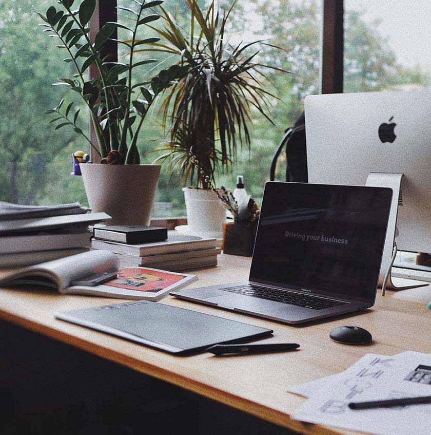 plants on office desk