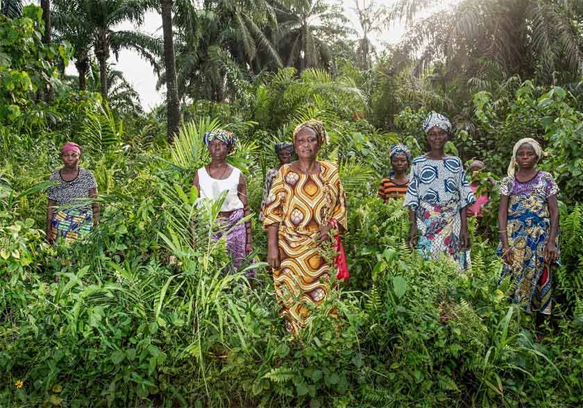 Women stood amongst green crops