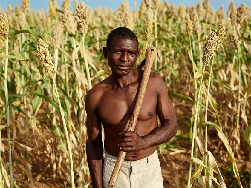farmer holding staff stood in front of crops
