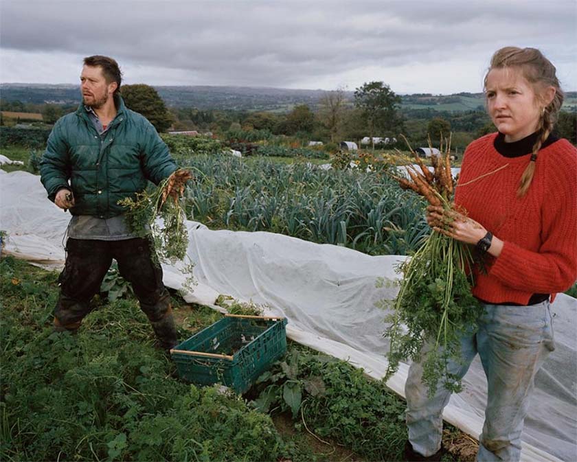 two farmers holding carrots