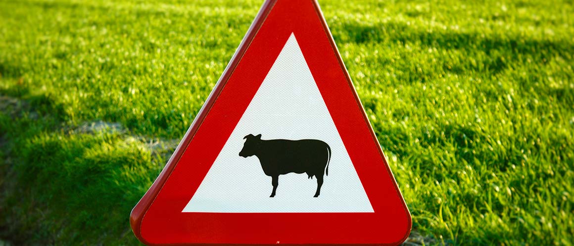 herd warning sign in field