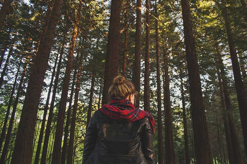 Young person looking up into dense trees