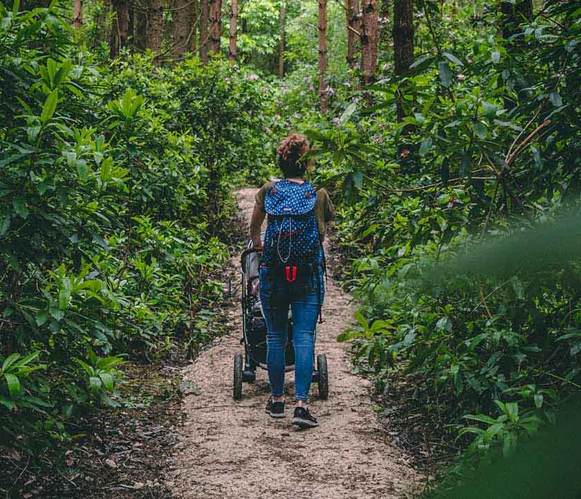 woman with pushchair walking through the woods