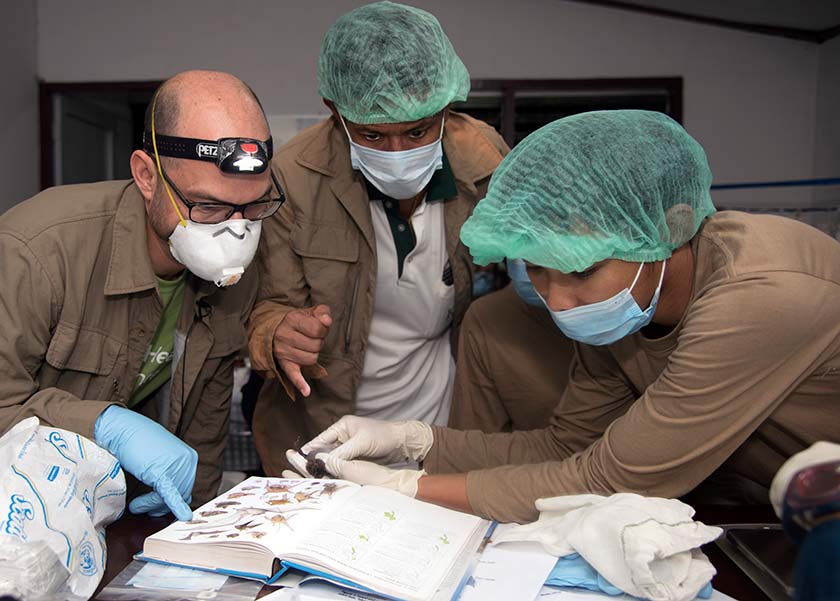 Investigadores científicos examinando animales y usando libro