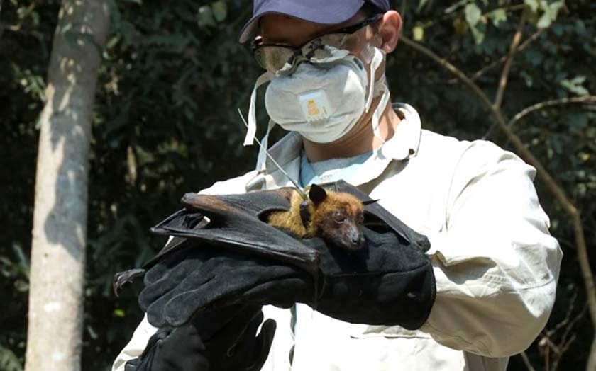 Hombre con un murciélago en la mano