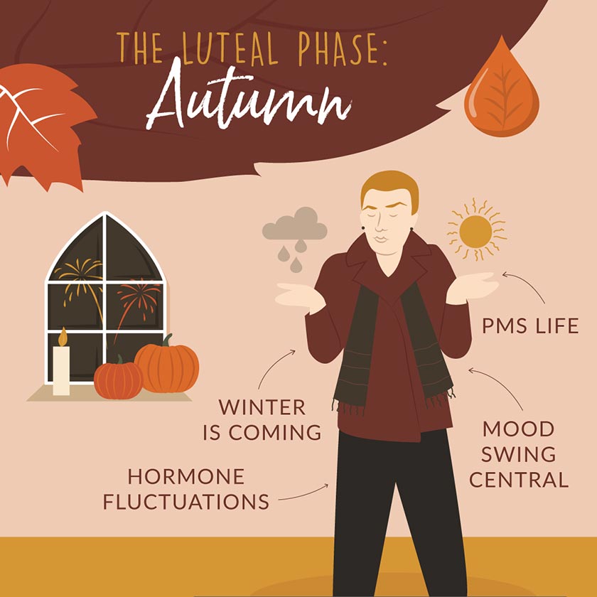 menstrual cycle like season why the luteal phase is autumn infographic