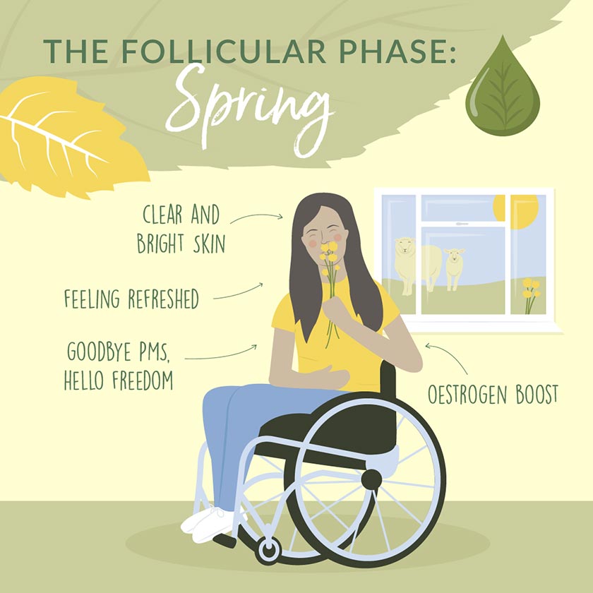 why the follicular phase is like spring infographic