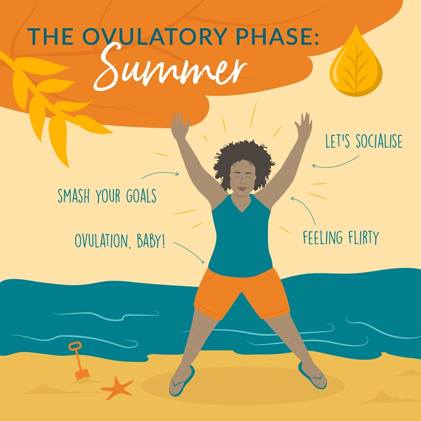 menstrual cycle like season why ovulation is summer infographic