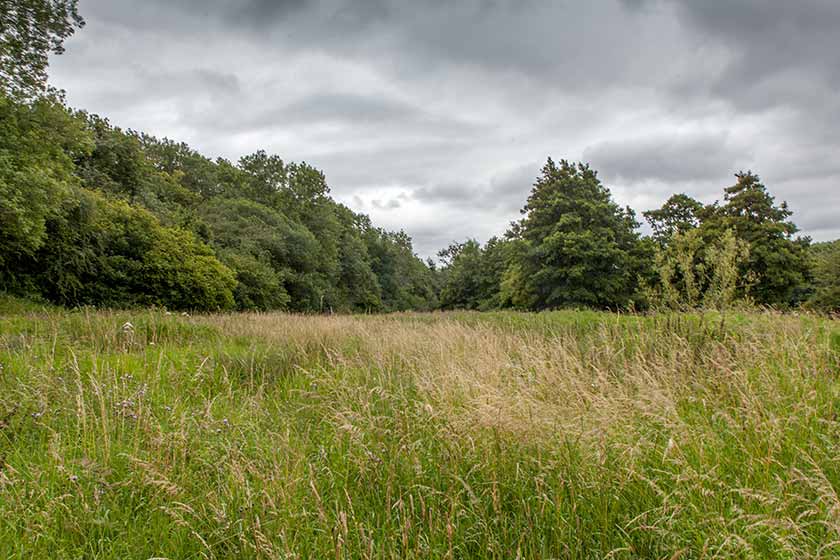 Untere Wiese von Hazeland