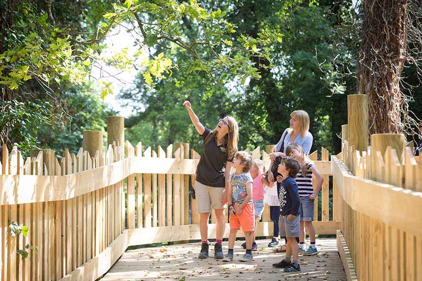 Kinder besuchen den Bärenwald