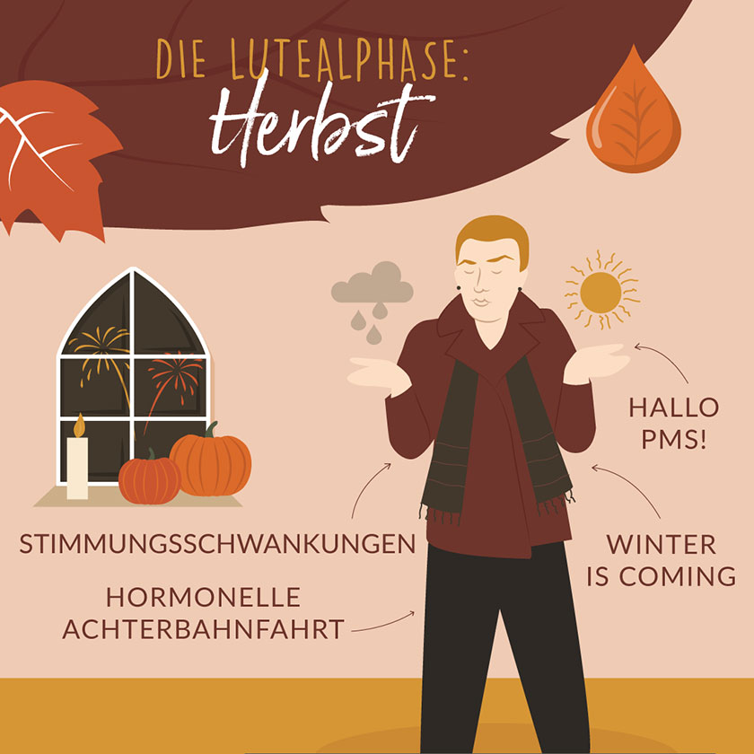 Illustration Lutealphase: Herbst Dein Zyklus nach den Jahreszeiten