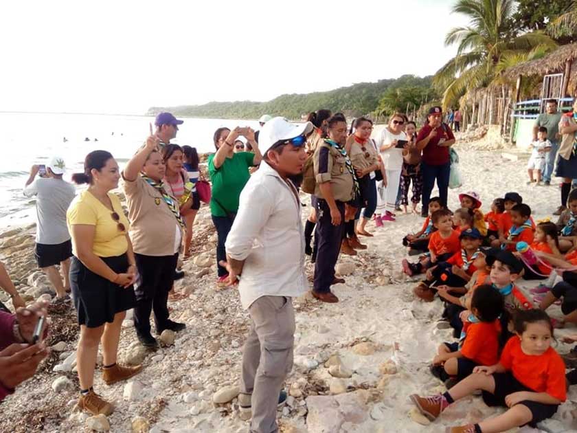 Programmes d'éducation sur la plage