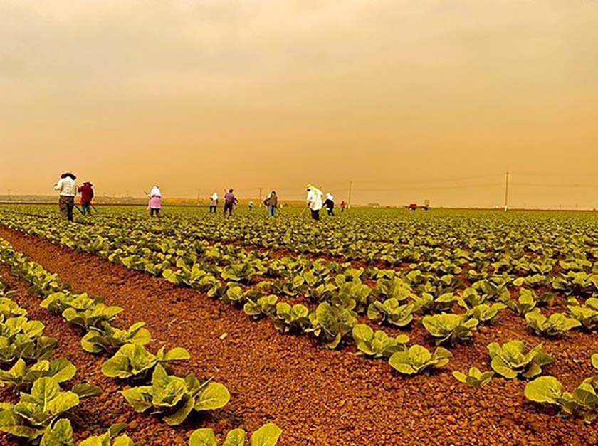 organic farmers for conscious kitchen