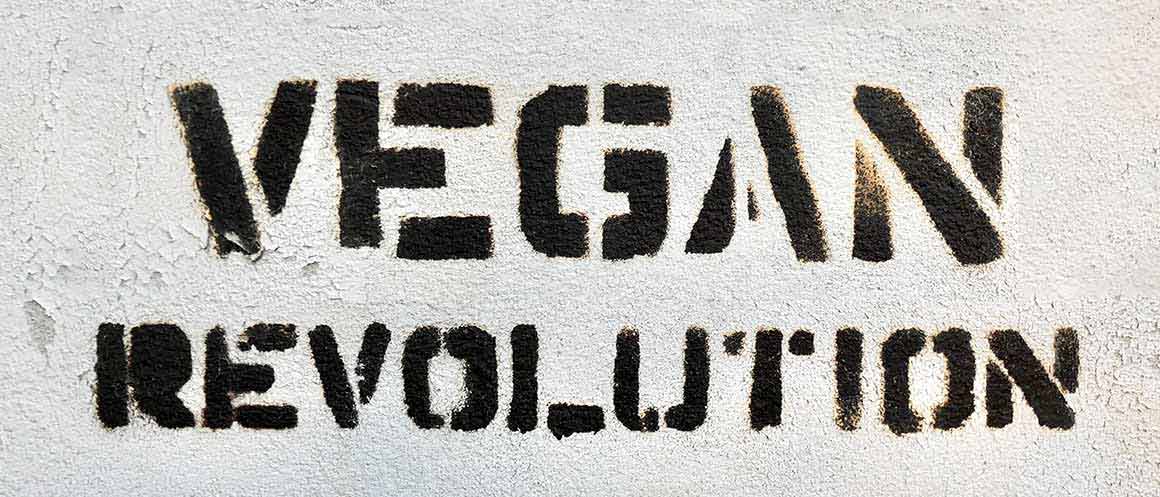 Graffiti der veganen Revolution vegan revolution