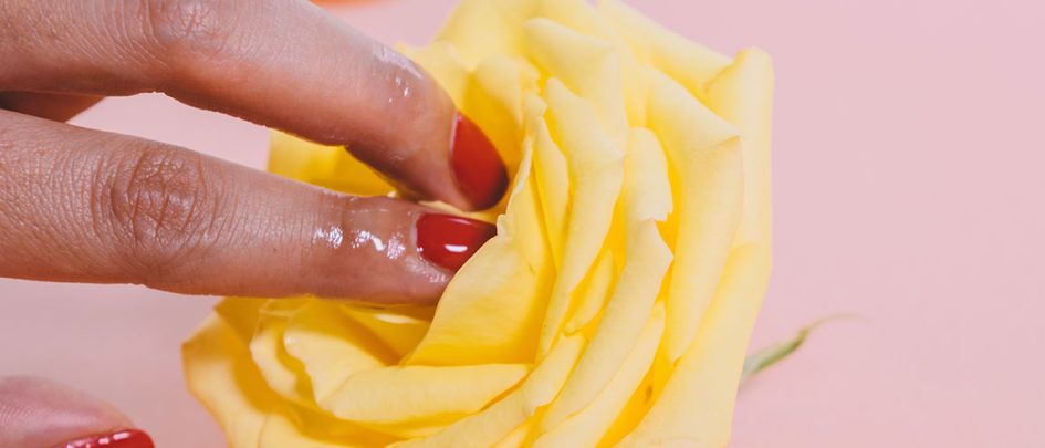 fingers touching a fragrant yellow rose