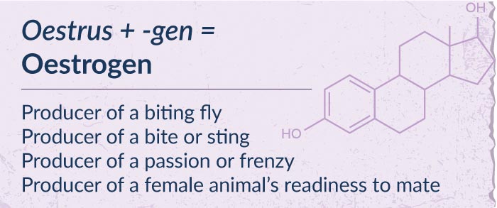 Etymology of oestrogen