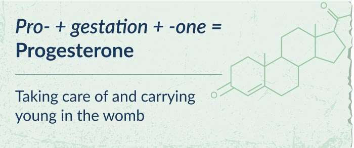 Etymology of progesterone