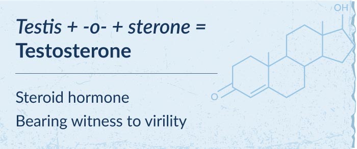 Etymology of testosterone