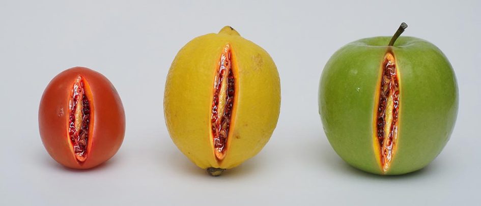 fruits sliced to look like vulvas
