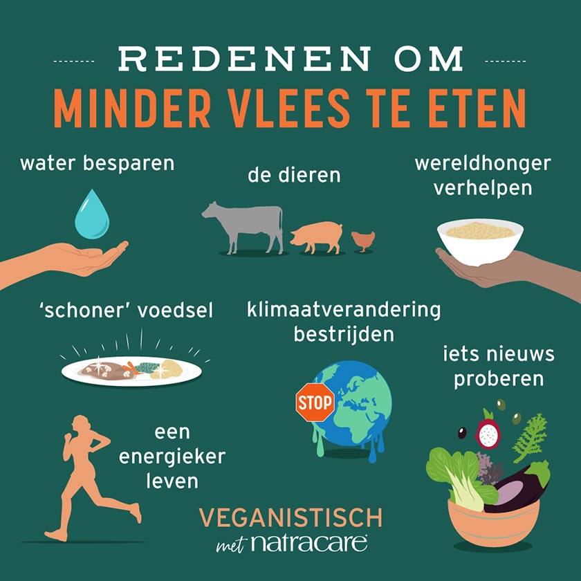 Redenen om minder vlees te eten infographic