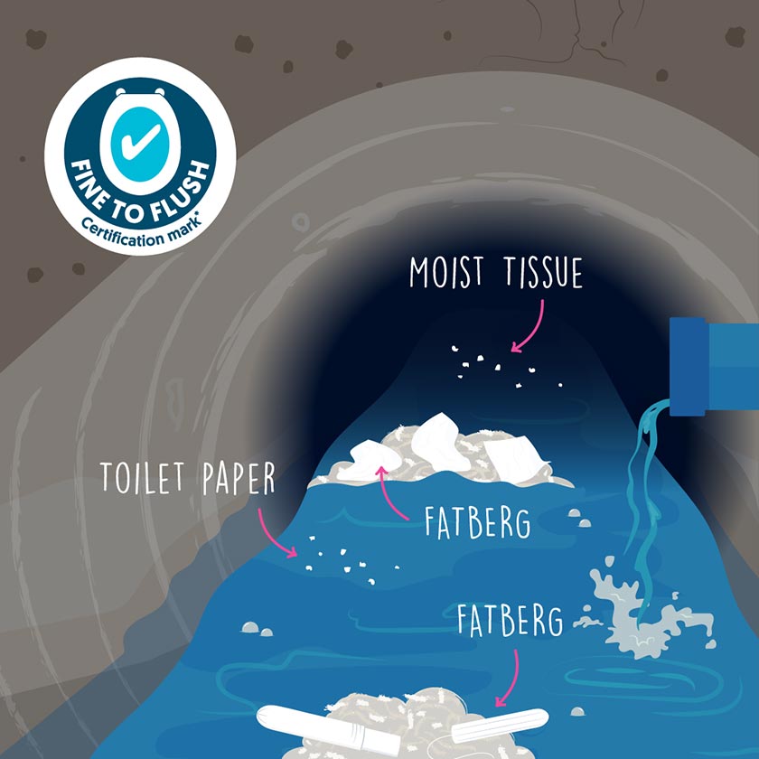 moist tissues and fatbergs in sewage systems