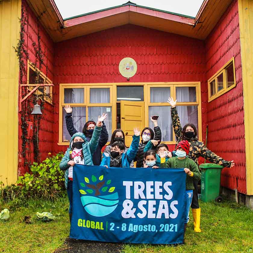 participants at trees & seas festival