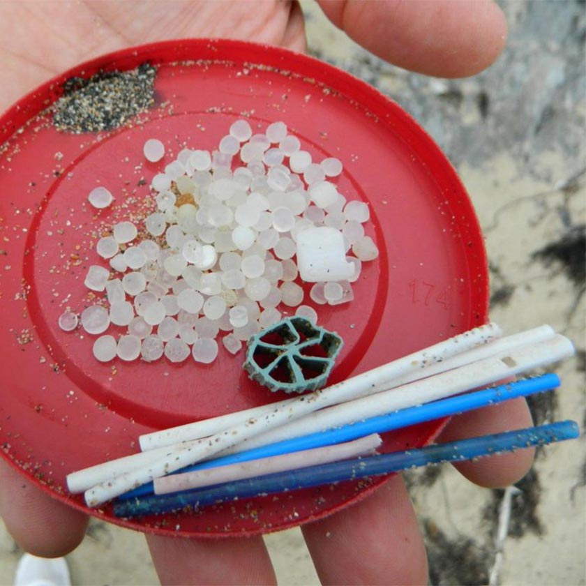 collection of plastic items found on the beach