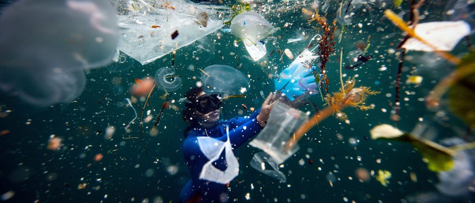 Tiefseetaucher:in beim Sammeln von Plastik