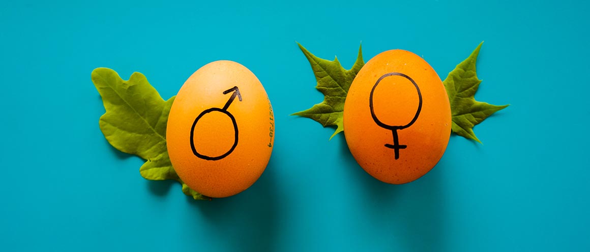 Des œufs avec illustrations de symboles de genre