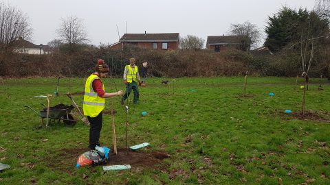 One Planet Matters in Bristol tree planting