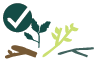 Feuilles fraîches et boutures de plantes illustration