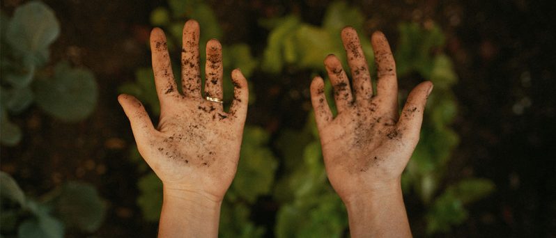 hands holding soil