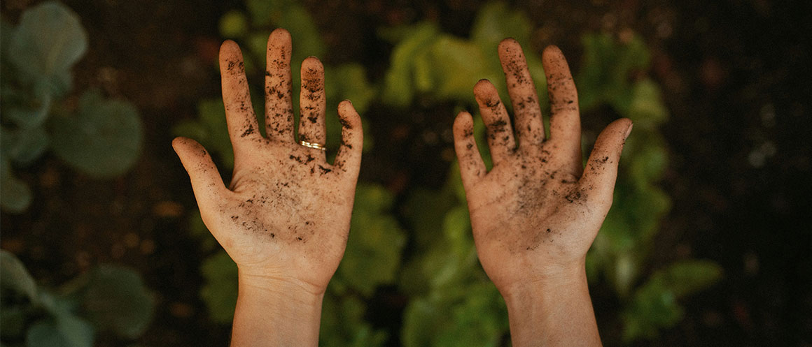 hands holding soil